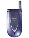 Best available price of Motorola V66i in Ah